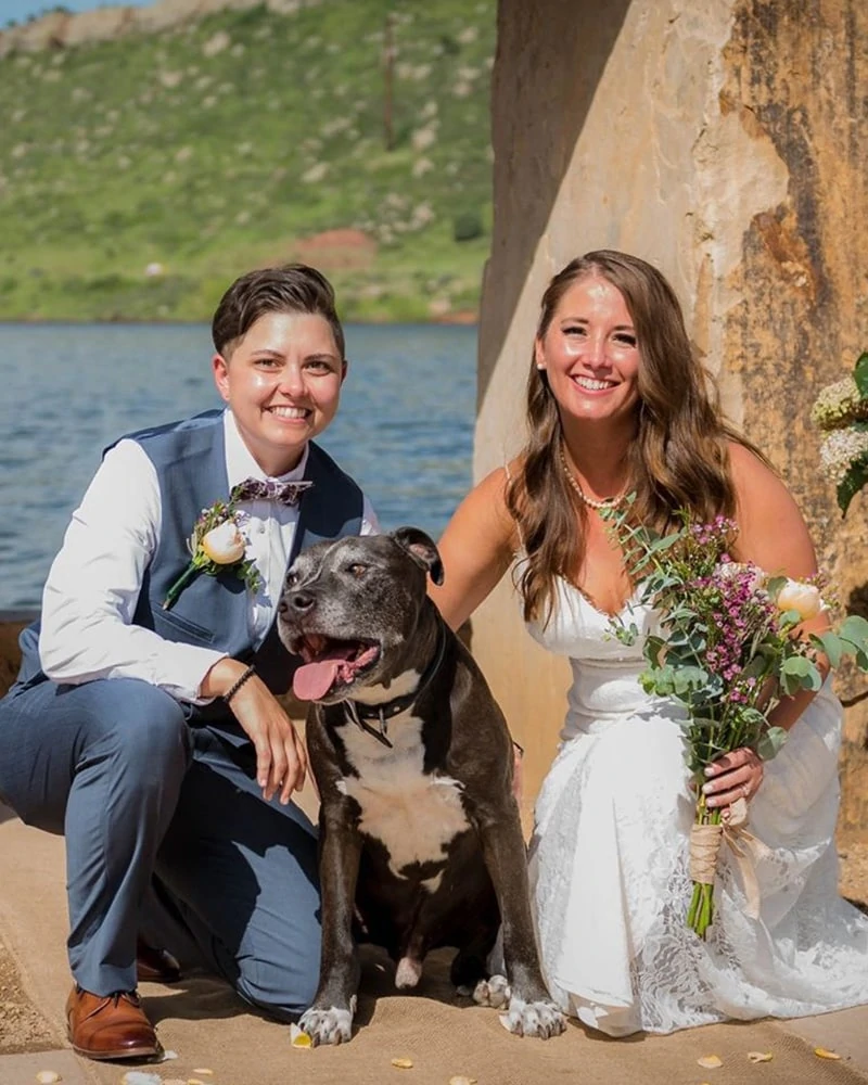Wedding + Party Pet Attendant