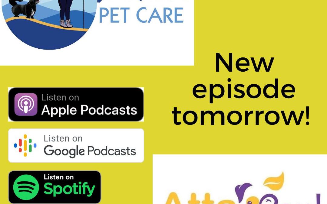 How Do We Hire for Pet Sitting Staff?