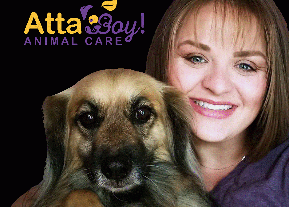 Professional Pet Sitting vs. Friends or Family