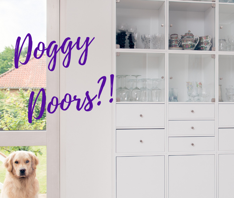 Should My Dog Have Access to an Outdoor Doggy Door in Lakeland, Fl?