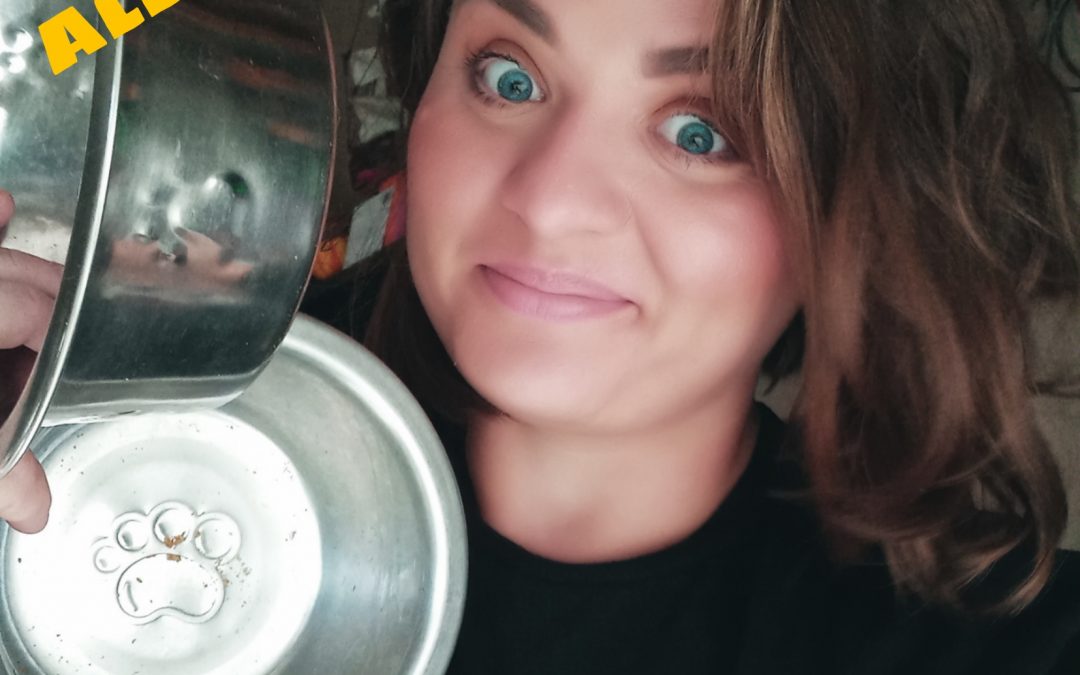 Ask A Vet Tech Series- Pet Allergies