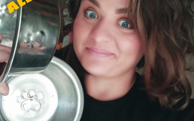Ask A Vet Tech Series- Pet Allergies