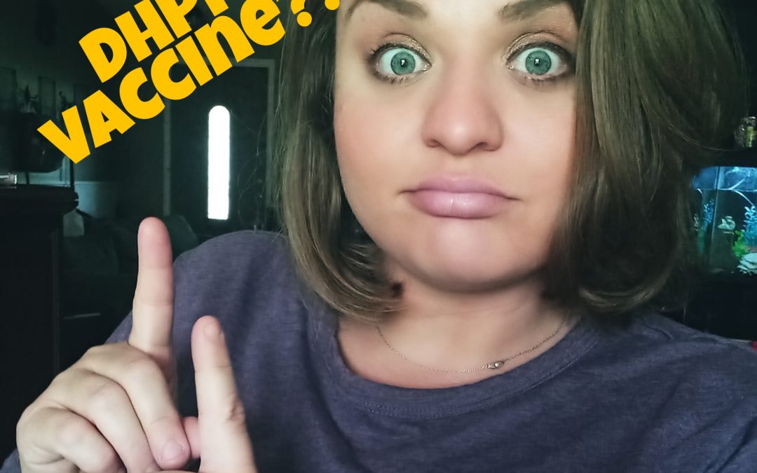 Ask a Vet Tech Series: Distemper Vaccine DHPP Dog