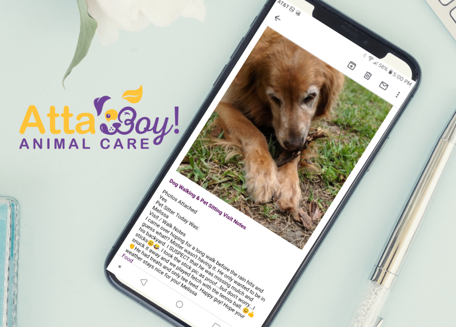 Should My Pet Sitter have GPS tracking + Timed Visits?