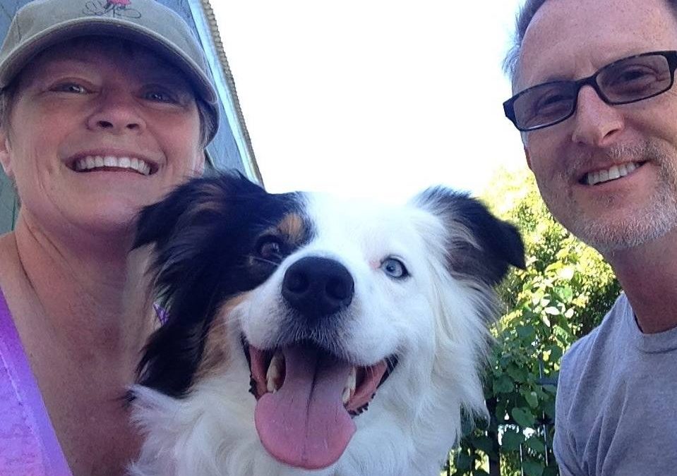 The TRUTH about Shock Collars AKA Remote Collar Training