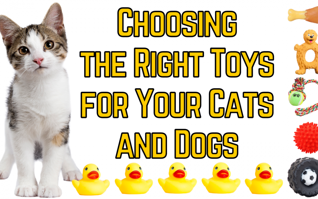 Choosing the Right Toys for Your Cats and Dogs