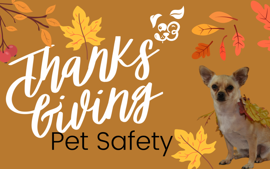 Thanksgiving PUP-erations: Be Safe + Thankful