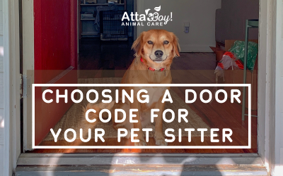 Choosing an Alarm Code, Door Code or Garage Door Code for a Pet Sitter/Dog Walker