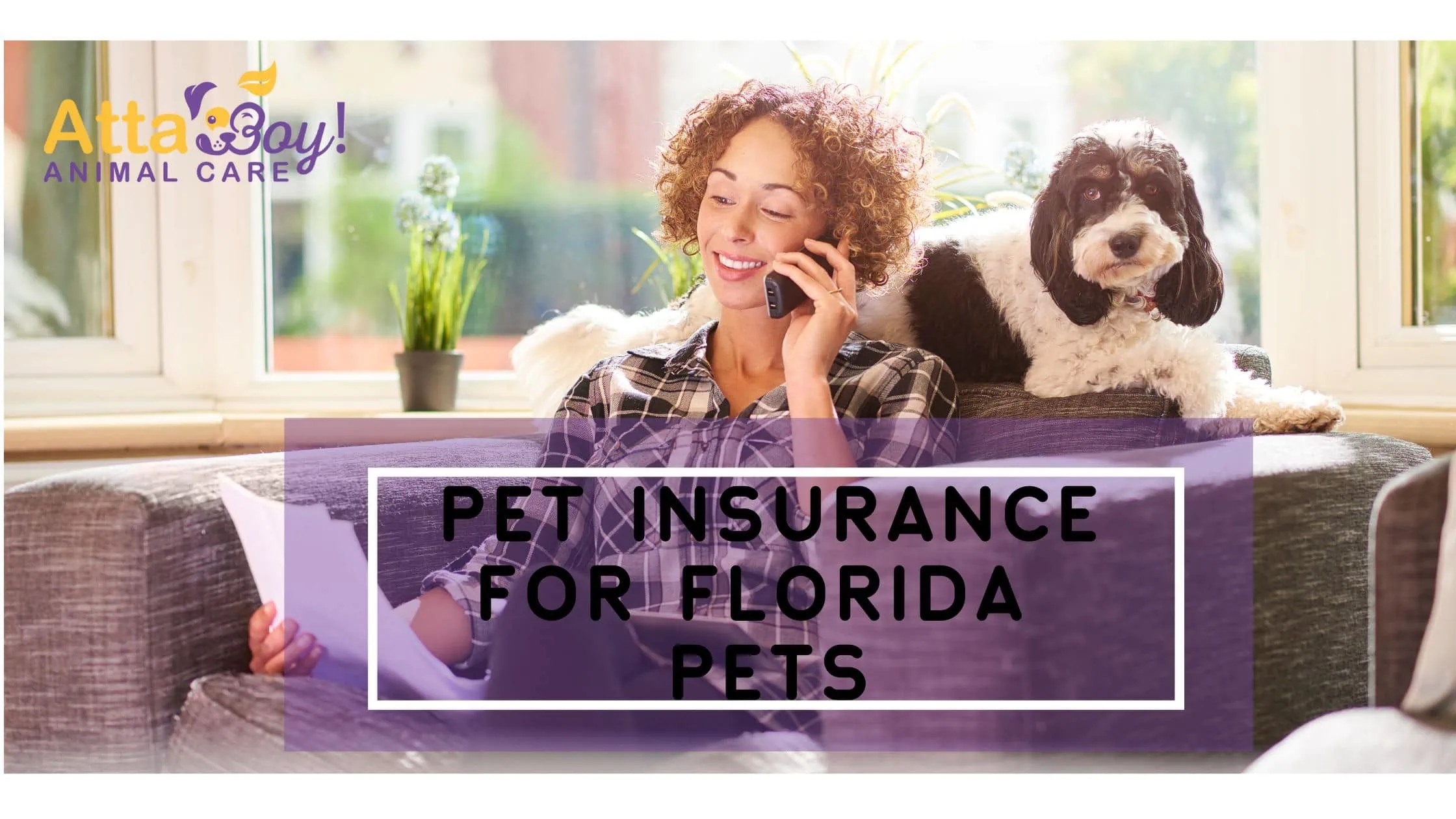 dog owner on phone pet insurance lakeland fl