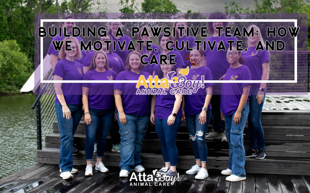 Building a PAWsitive Team: How We Motivate, Cultivate, and Care 🐾
