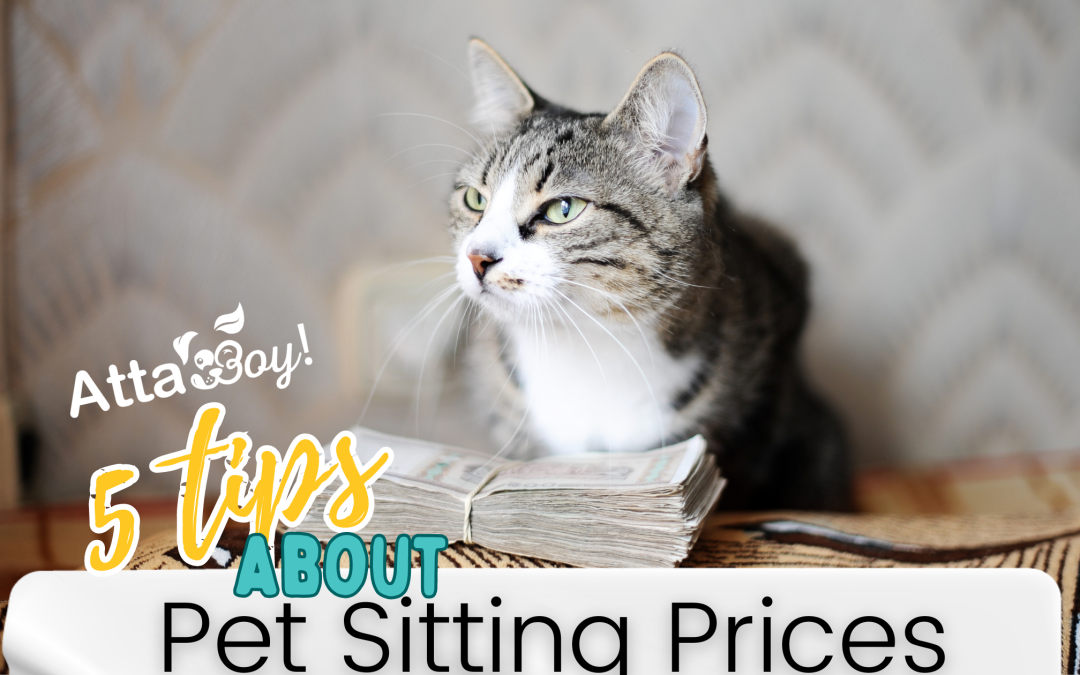 How much is Pet Sitting in Lakeland, Florida ?