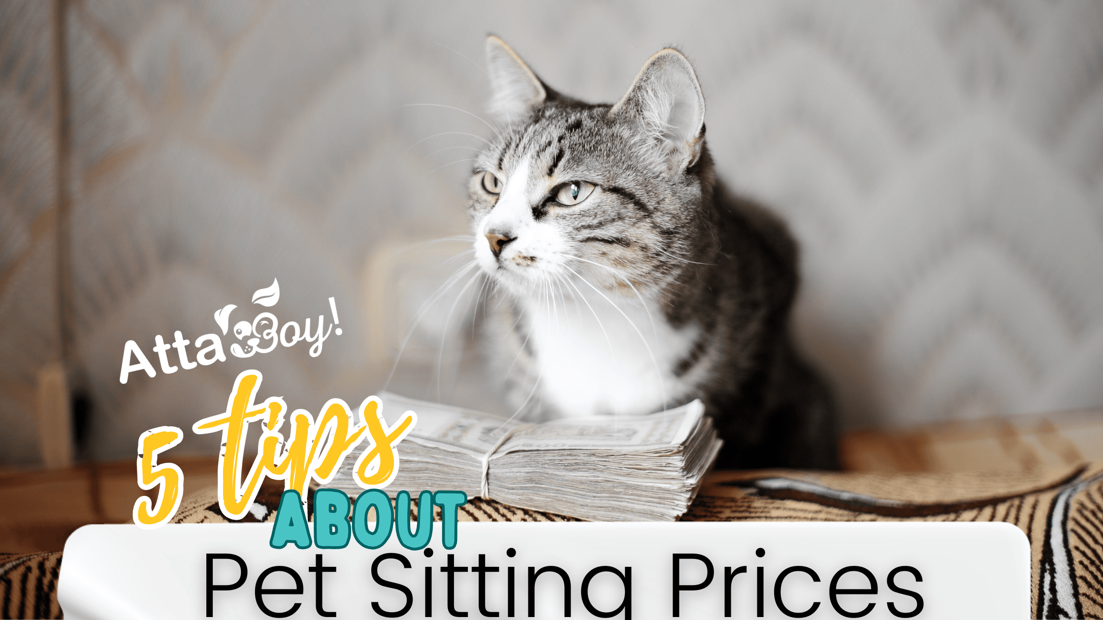 Lakeland Florida Pet Sitting Prices