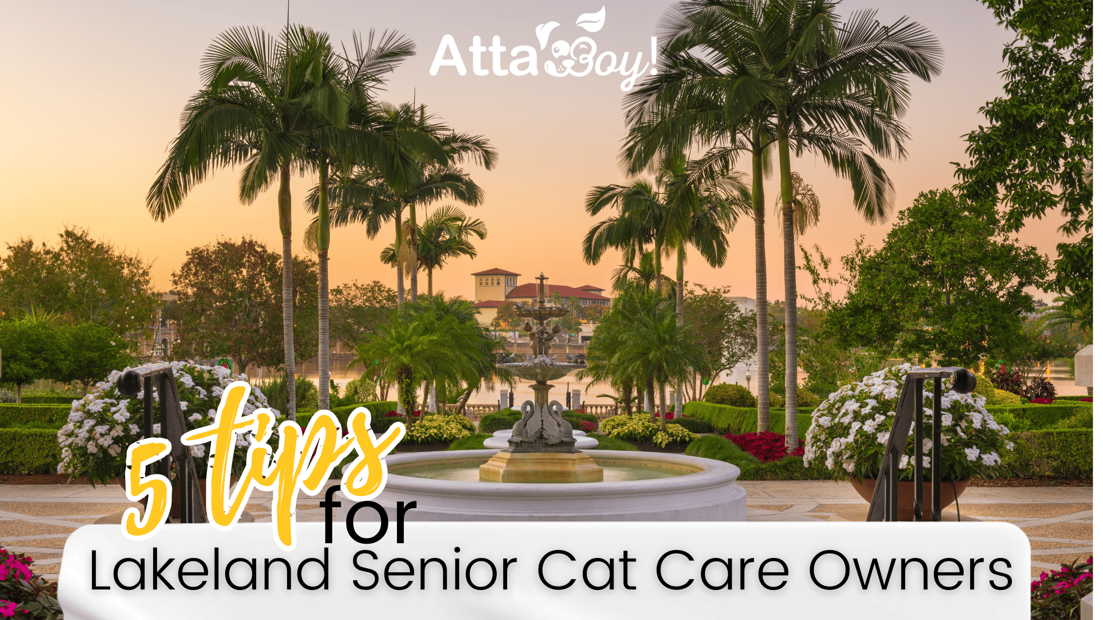 Lakeland Hollis Garden