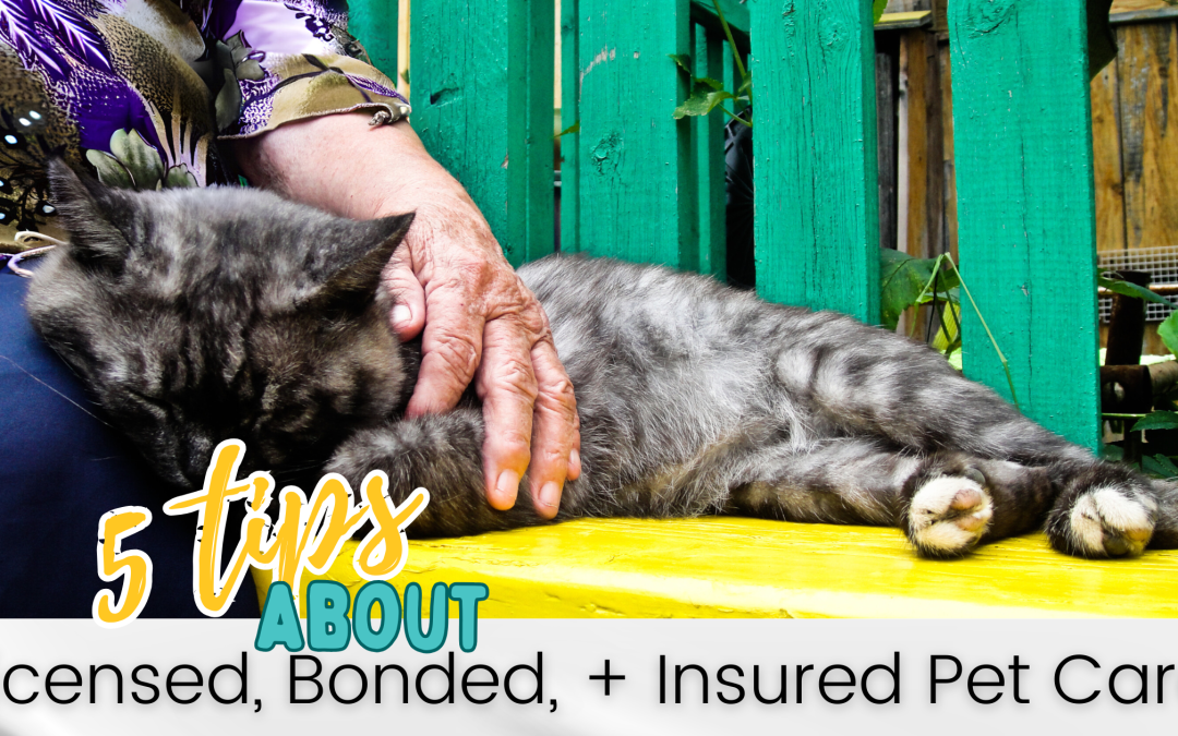5 Tips about Licensed, Bonded,  + Insured Pet Sitting