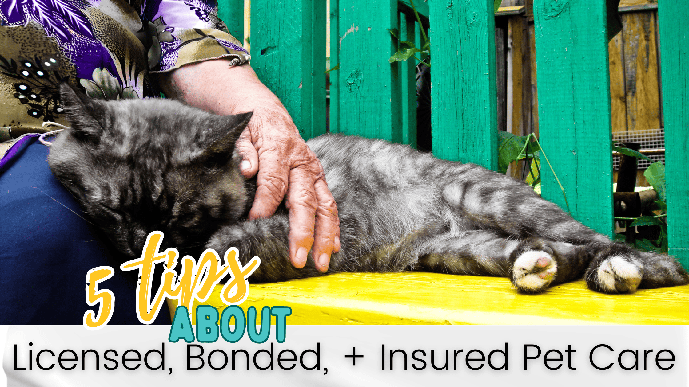 pet sitter Lakeland, Florida