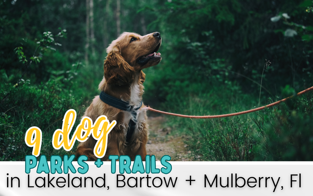 Best Dog Parks & Trails in Lakeland, Mulberry, and Bartow for On- and Off-Leash Fun
