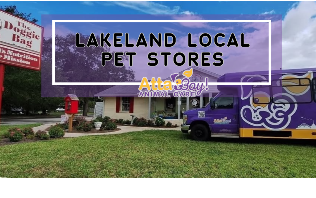 Shop Small, Wag Big: Our Favorite Local Pet Shops & Pop-Ups in Lakeland