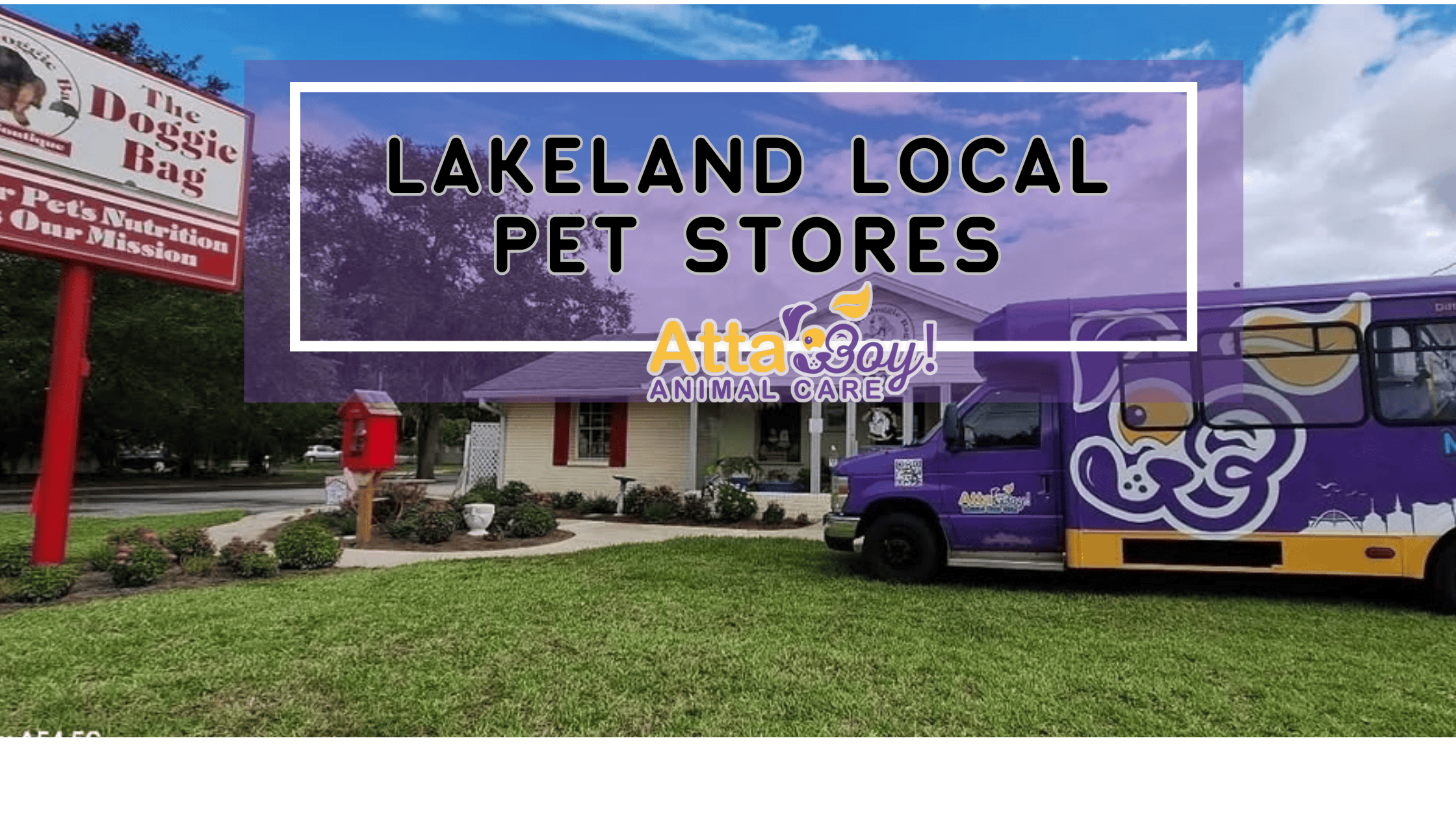 Lakeland Florida Local Pet Stores Pet Sitter Dog Walker