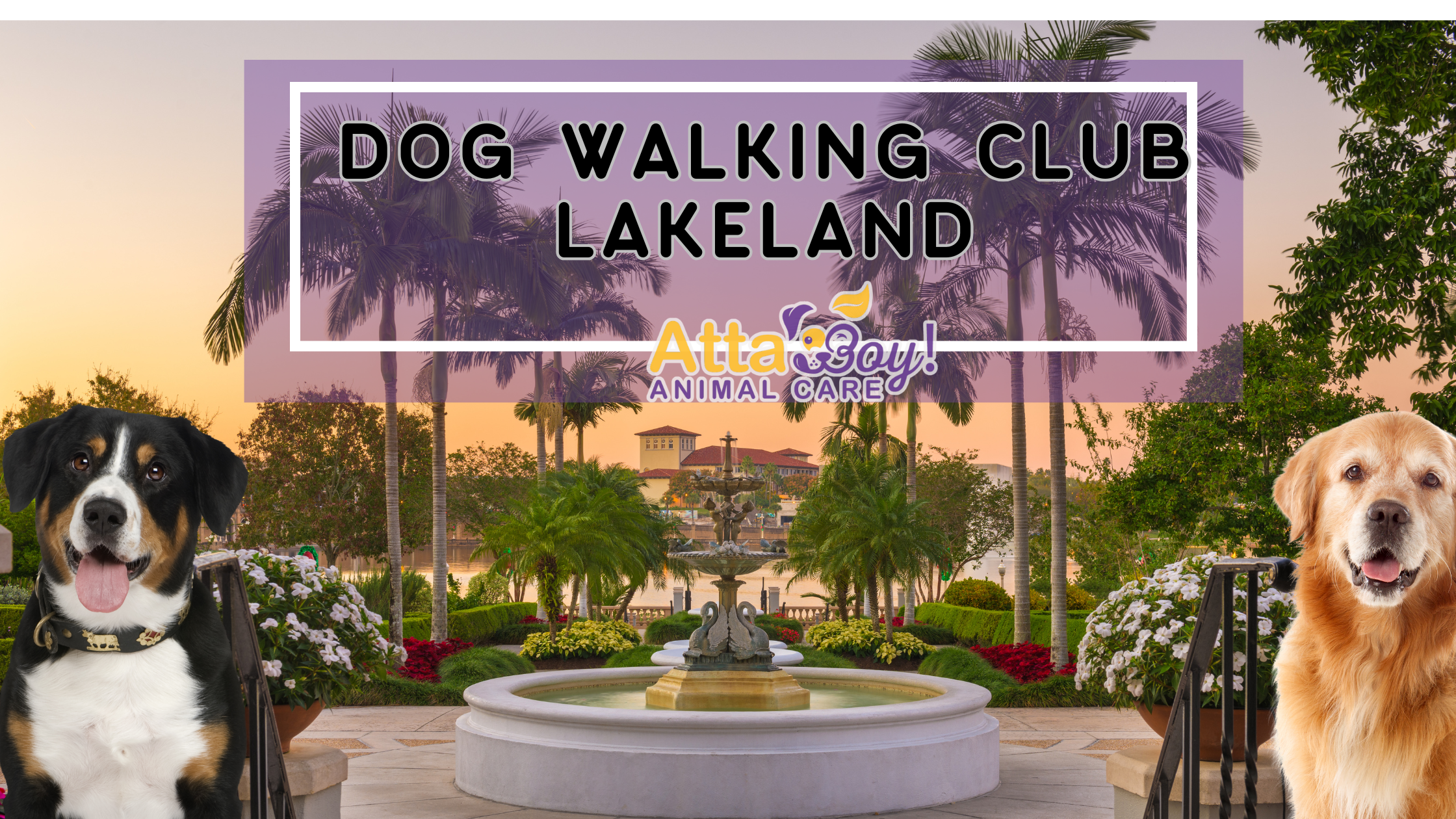 Lakeland Dog Walking Club
