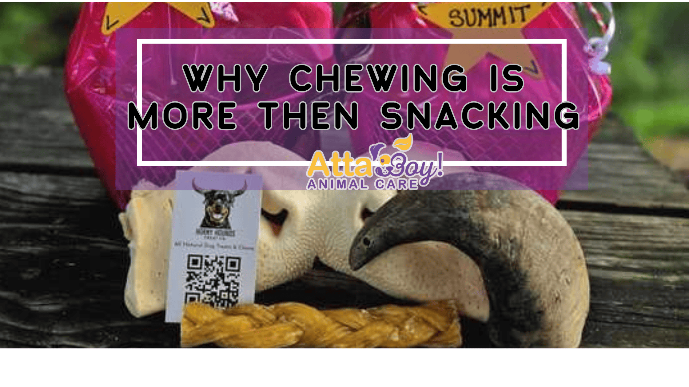 horny hounds dog treats lakeland, florida pet sitter dog walker