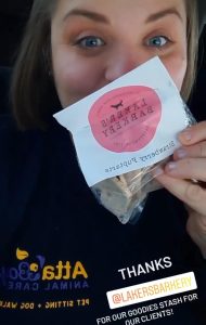 lakeland , fl pet sitter pet treats