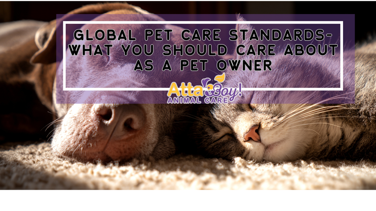 coffee local stores blog (2)