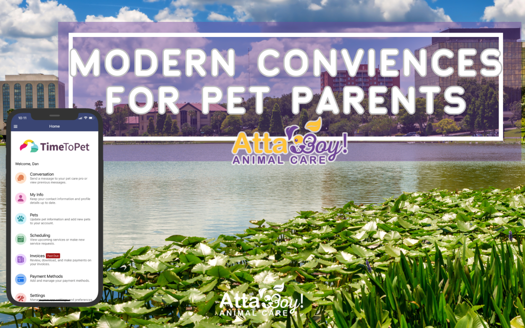 Modern Conveniences for the Passionate Pet Parent: Why At Home Care Beats Boarding