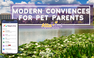 Modern Conveniences for the Passionate Pet Parent: Why At Home Care Beats Boarding
