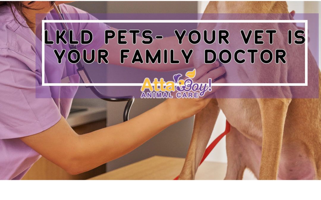 Why Your Pet’s Lakeland Vet May Soon Look More Like Your Family Doctor