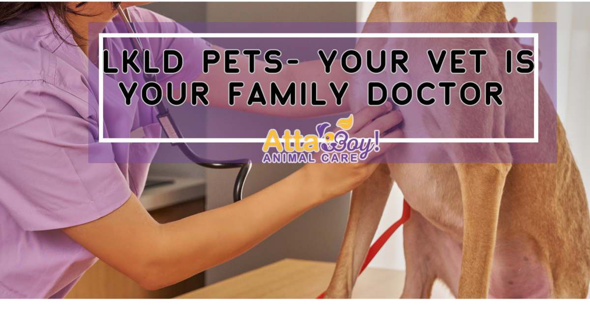 coffee local stores blog (1)