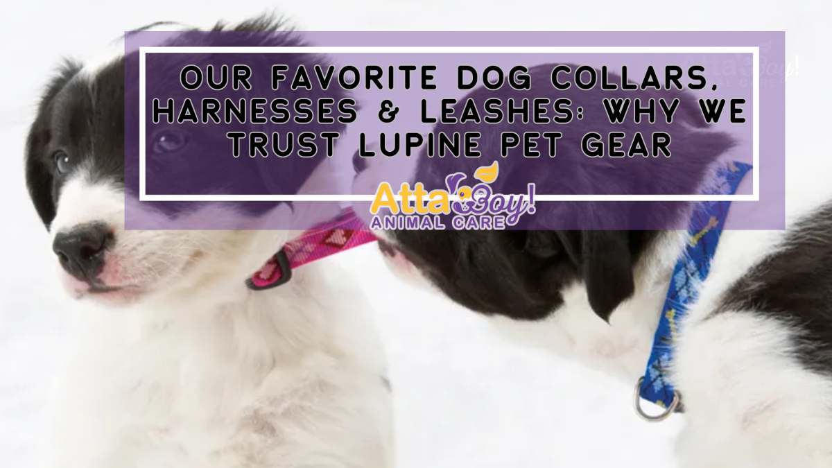 coffee local stores blog (3)