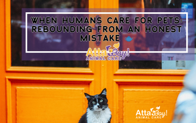When Humans Care for Pets: Rebounding from an Honest Mistake 🫖