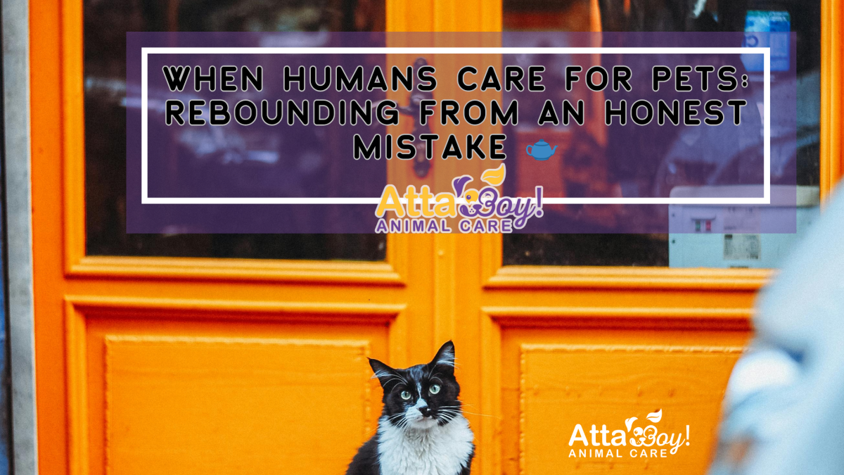 coffee local stores blog (4)