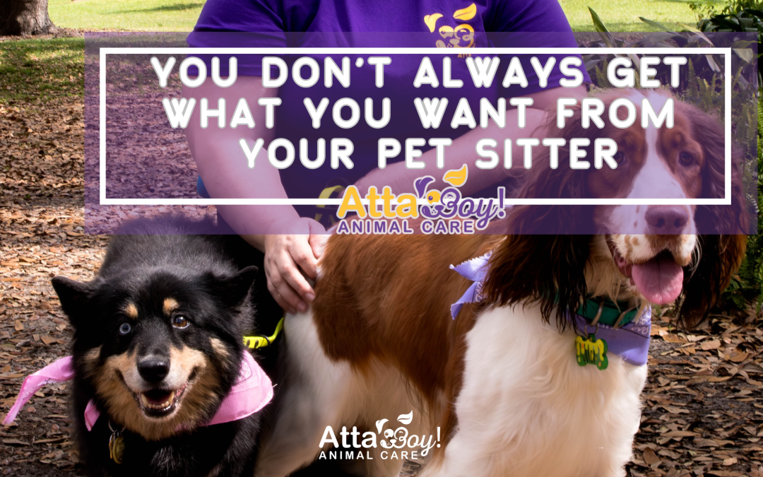 Why We Can’t Always Do What You Do (Even If We’d Love To)