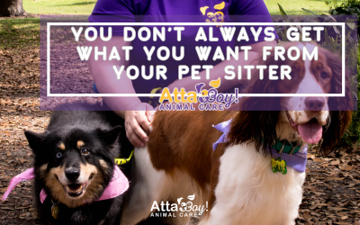 Why We Can’t Always Do What You Do (Even If We’d Love To)