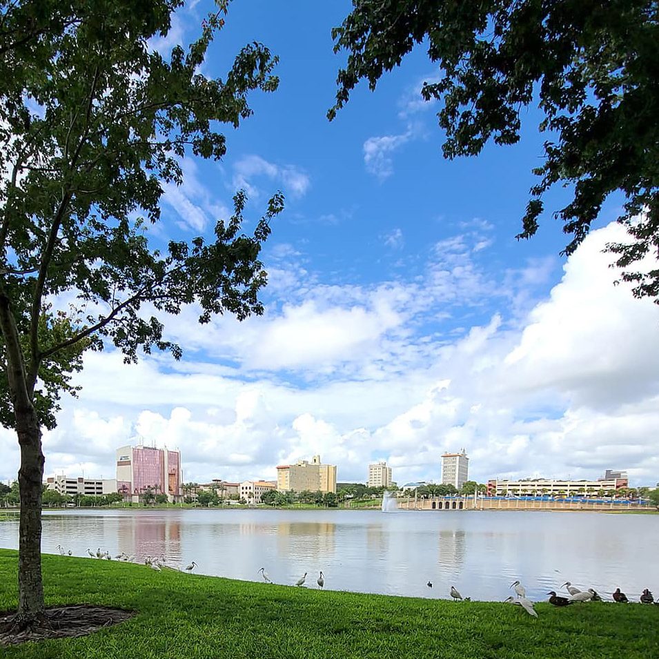 Service Area Pet Sitting Lakeland FL