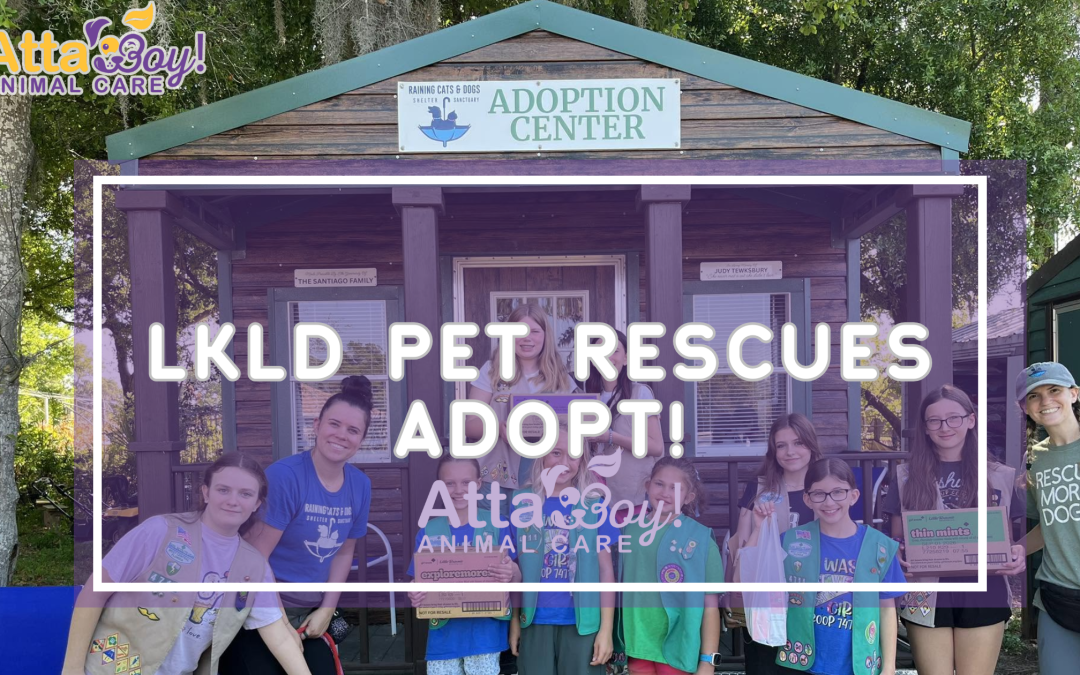 The Real “Rescue Heroes” of Lakeland, Mulberry, and Bartow