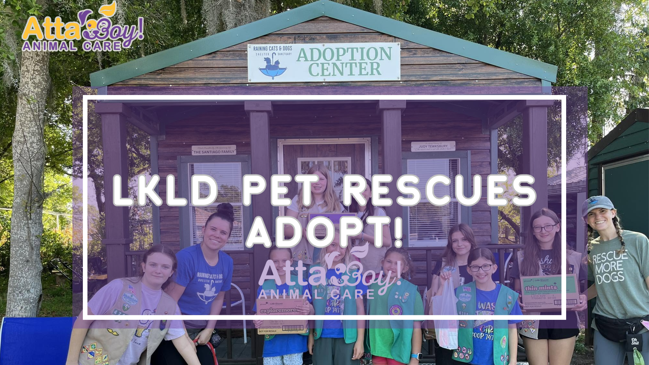 lakeland pet rescues
