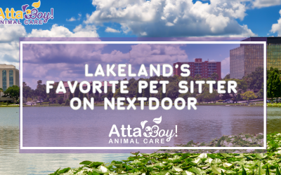Lakeland’s Favorite Pet Sitter on Nextdoor