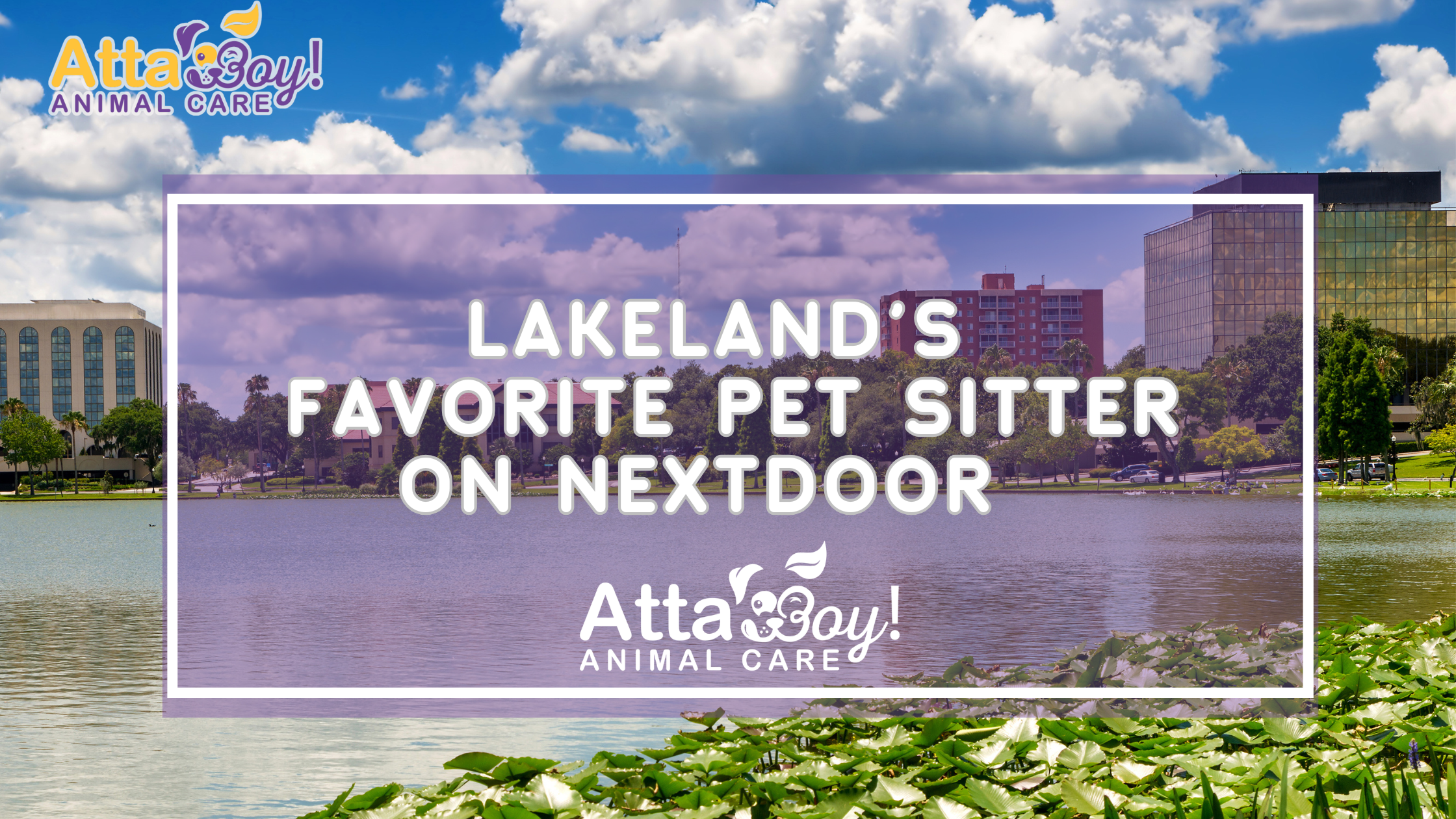 Lakeland's Favorite Pet Sitter