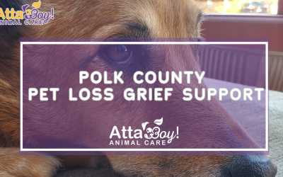 Pet Loss Grief Support