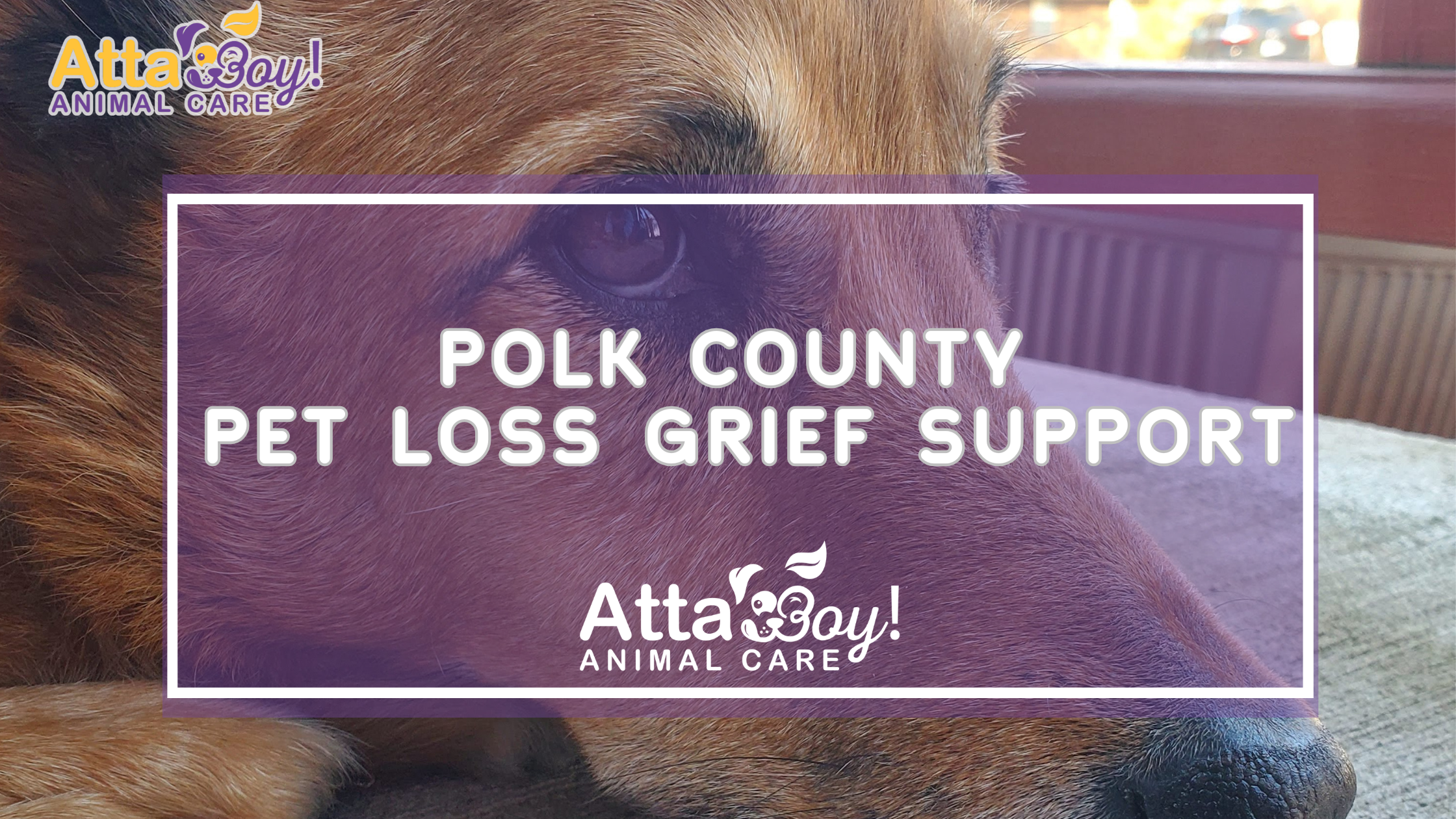 polk county pet loss grief support