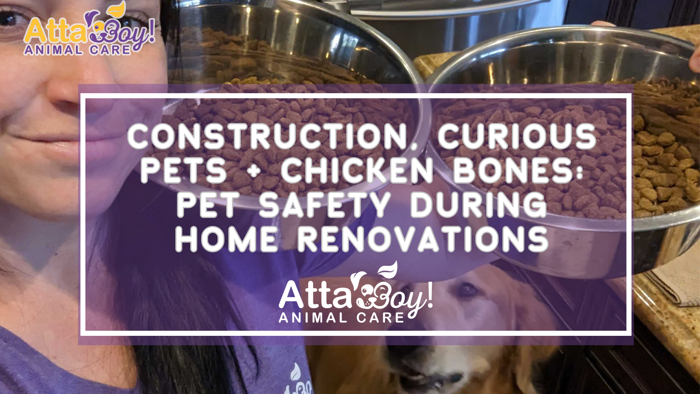 Construction, Curious Pets + Chicken Bones: Pet Safety During Home Renovations Construction, Curious Pets + Chicken Bones: Pet Safety During Home Renovations