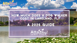 How Much Does a Dog Walker Cost in Lakeland, FL? A 2026 Guide