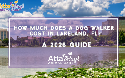 How Much Does a Dog Walker Cost in Lakeland, FL? A 2026 Guide